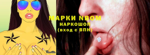 ГАЛЛЮЦИНОГЕННЫЕ ГРИБЫ Белокуриха