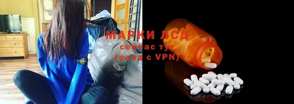 ГАЛЛЮЦИНОГЕННЫЕ ГРИБЫ Белокуриха