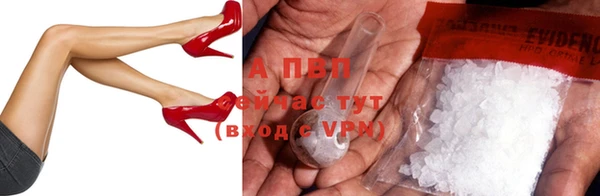 ГАЛЛЮЦИНОГЕННЫЕ ГРИБЫ Белокуриха