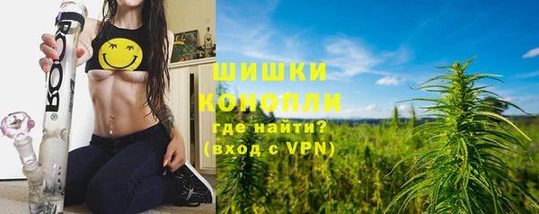 ГАЛЛЮЦИНОГЕННЫЕ ГРИБЫ Ельня